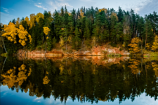 Experience colourful Autumn in Gauja National Park